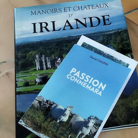 Maison De Campagne Au Coeur D'Un Elevage De Poneys Connemara Le Landreau Εξωτερικό φωτογραφία